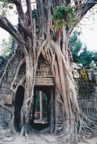 Ta Som, Angkor, Cambodia